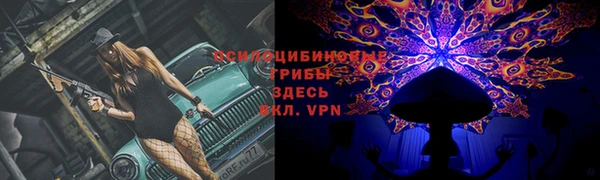 a pvp Алексин