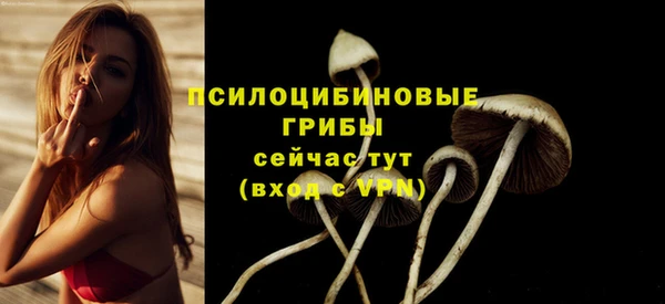 прущая мука Алзамай
